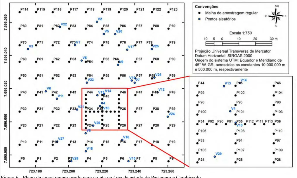 Figura 6 - Plano de amostragem usado para coleta na área de estudo de Pastagem e Cambissolo.