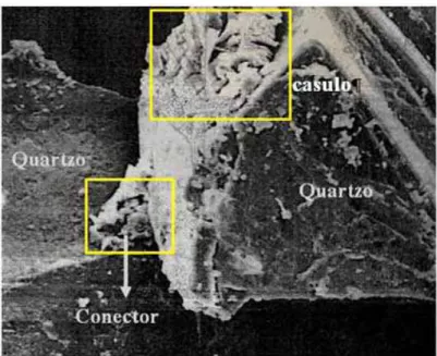 Figura 6 - Feições microestruturais em solo residual jovem de gnaisse. Foto tirada no  MEV (SANDRONI, 1981)