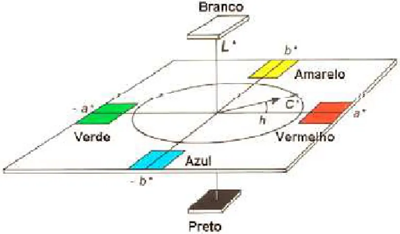 Figura 04 – Significado geométrico das coordenadas do espaço CIELAB  (HIRSCHLER, 2002)