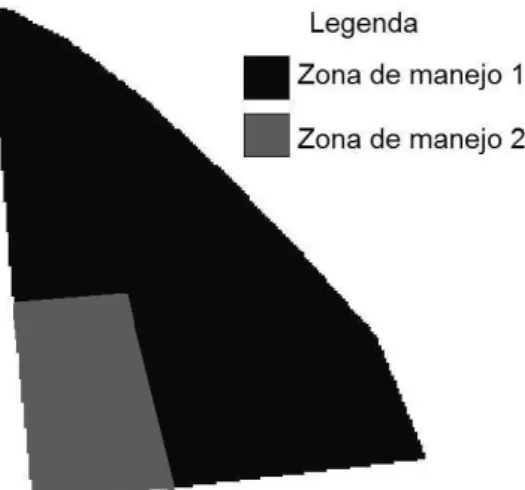 Figura 3. Classes adotadas para o manejo da fertilidade na área de estudo 