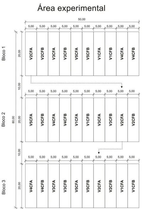 Figura 6 – Arranjo  físico  da  área  experimental  com  distribuição  dos  blocos, unidades experimentais e variáveis ensaiadas.