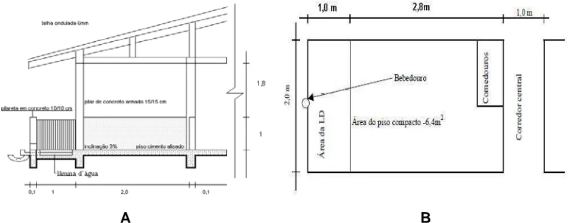 Figura 2. Baia com piso totalmente compacto mostrando a área da  “lâmina d’água”:  A. Corte transversal e B