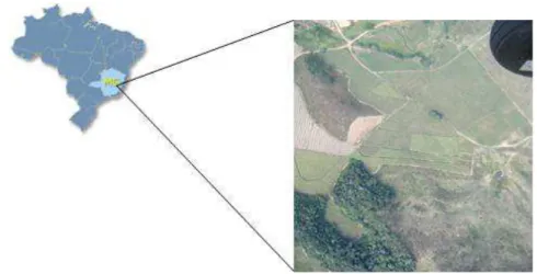Figura 2: Imagem do talhão em estudo obtida por plataforma aérea e sua  localização. 