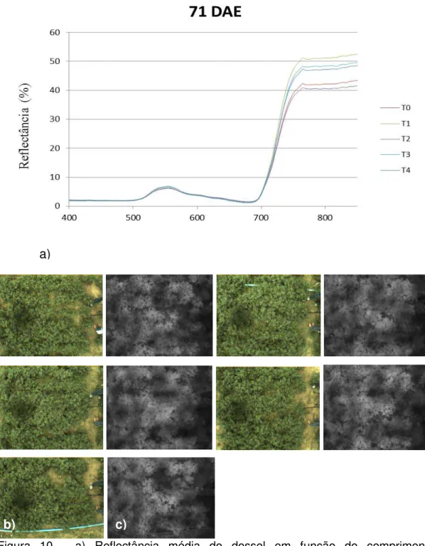 Figura  10  -  a)  Reflectância  média  do  dossel  em  função  do  comprimento                         de  onda  nos  5  tratamentos  do  Experimento  1  aos  71  DAE;  b)  imagens  coloridas 