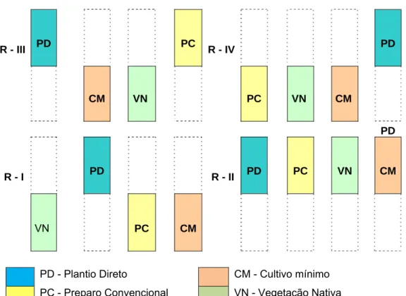 Figura 2. Vista parcial da área experimental, em solo classificado como Argissolo  Vermelho-amarelo, com destaque para a divisão das parcelas e marcação 