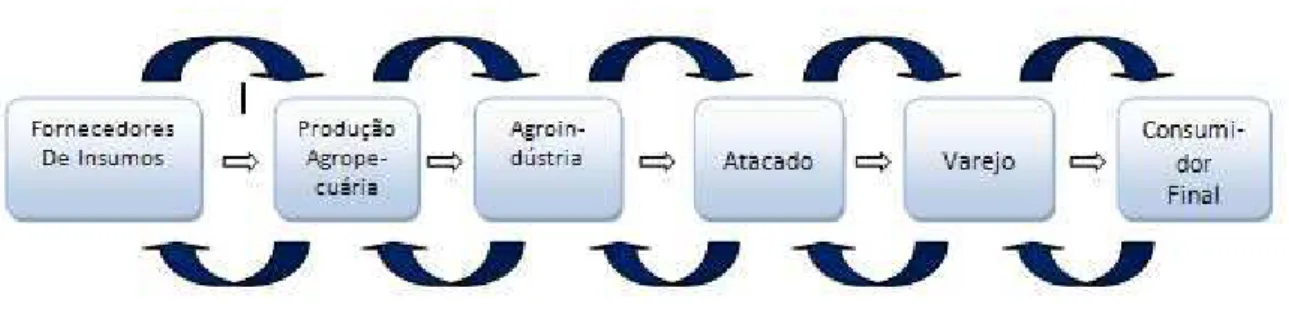 Figura 3 ' Modelo de um sistema agroindustrial. 