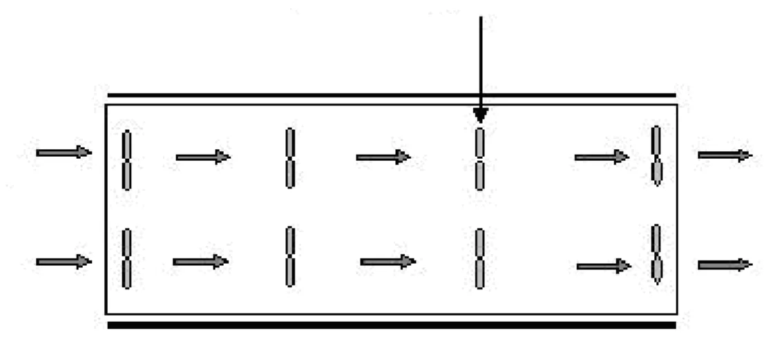 Figura 9. Sistema de ventilação por pressão positiva Fonte: Girotto &amp; Ávila (2003)