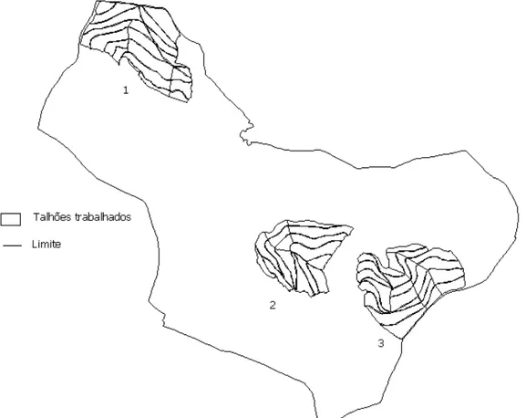 Figura 1. Representação da Fazenda Braúna com as localização das três regiões  trabalhadas