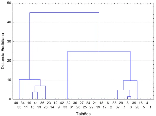 Figura 10. Dendrograma relativo à análise de agrupamento dos valores de brix  para a safra 2006/2007
