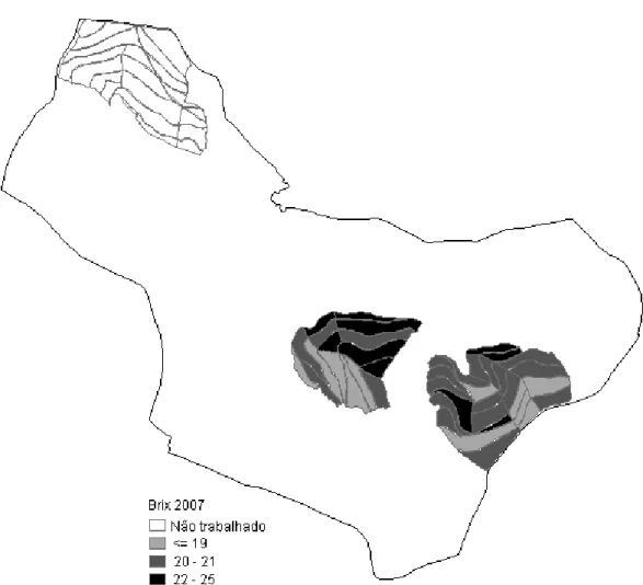 Figura 14. Mapa de variabilidade espacial das três classes dos valores de brix na  safra 2006/2007