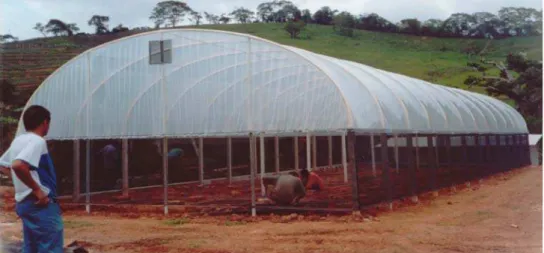 Figura 4 - Vista panorâmica da casa de vegetação. 