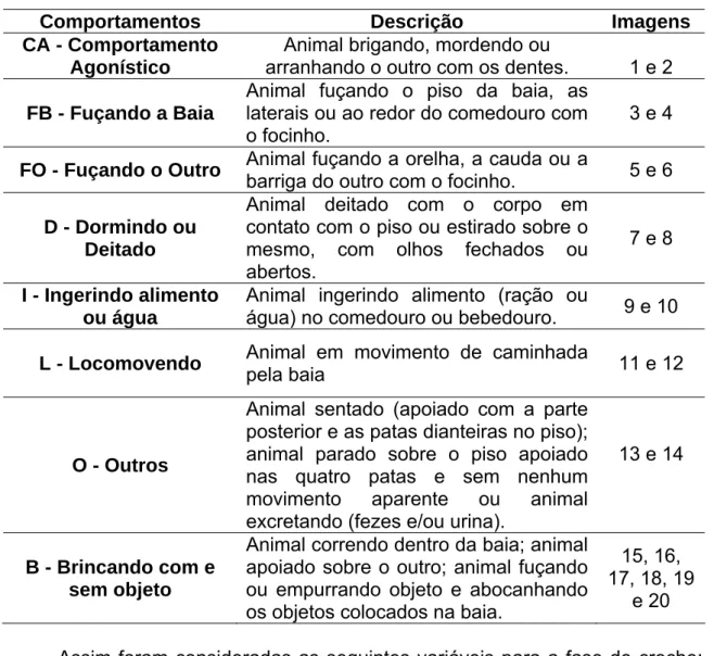 Tabela 6 - Padrões comportamentais dos leitões observados na fase de creche  durante o experimento