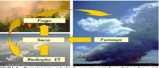 FIGURA 5 - Desmatamento: redução da evapotranspiração e efeitos sobre o ciclo  hidrológico