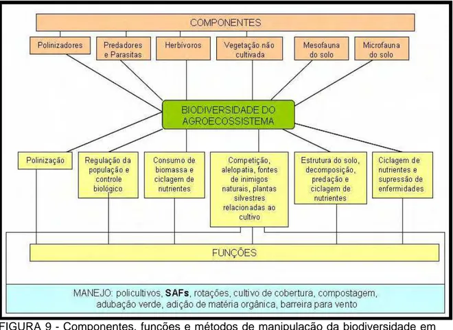 FIGURA 9 - Componentes, funções e métodos de manipulação da biodiversidade em  agroecossistemas