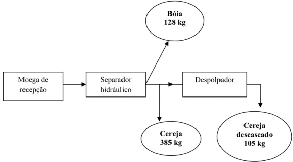 FIGURA 2 - Pontos de coleta dos lotes de cafés cereja, cereja descascado e bóia  