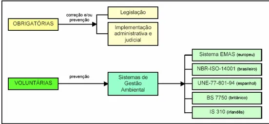 Figura 1 – Formas de inclusão da variável ambiental na empresa. 