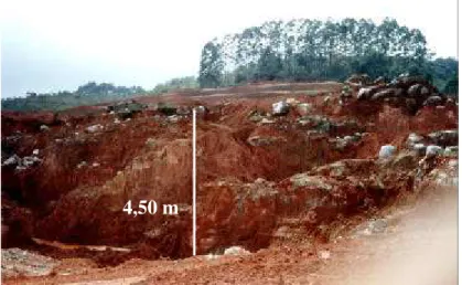 FIGURA 2: Área minerada para a extração de bauxita, em Poços de Caldas - MG. 
