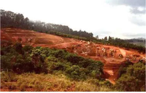 FIGURA 3: Reconstrução topográfica realizada nas áreas de mineração de bauxita, em  Poços de Caldas – MG, pela ALCOA Alumínio S.A