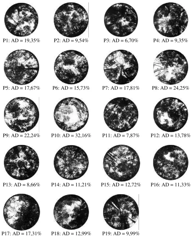 FIGURA 10: Fotografias hemisféricas e abertura de dossel para as parcelas do estudo da  regeneração natural, em 2000, no Retiro-Branco, em poços de Caldas, MG