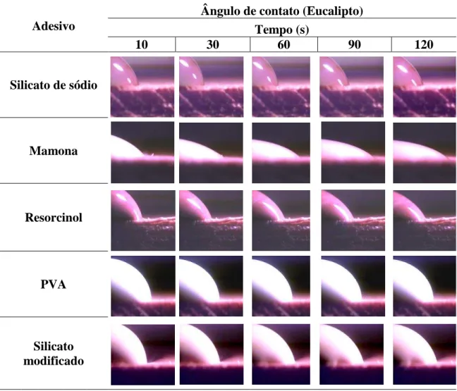 Tabela  7:  Imagens  ilustrativas  dos  ângulos  de  contato  dos  adesivos  na  madeira  de  eucalipto, ao longo do tempo