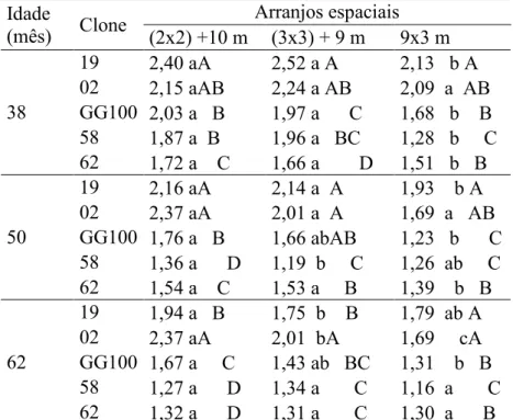 Tabela 2. Índice de área foliar do dossel arbóreo aos 38, 50 e 62 meses após plantio em  sistemas  silvipastoris  com  cinco  clones  de  eucalipto  e  três  arranjos  espaciais  de plantio, em Vazante, MG   Odade  (mês)  Clone  Arranjos espaciais  (2x2) +