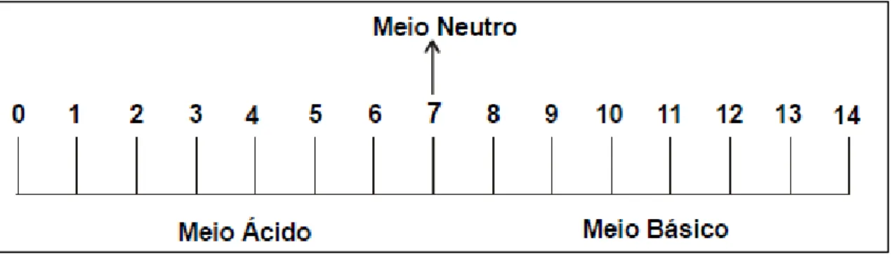 Figura 1  – Escala de pH 