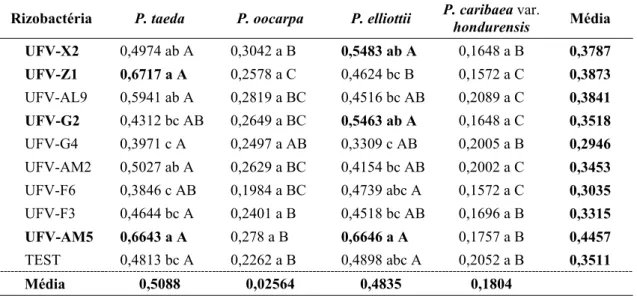 Table 2 – Shoot averages of P. taeda, P. oocarpa,  P. elliottii and P. caribeae var.  hondurensis seedlings  after 150 days of sowing 