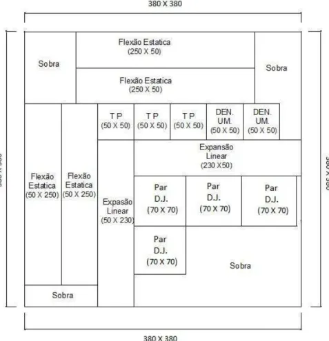 Figura 4 - Esquema de retirada de corpos de prova. Em que TP- tração perpendicular; Par  –  arrancamento  de  parafuso;  DEN  e  UM  –  densidade  e  umidade;  e  DJ  –  dureza  Janka