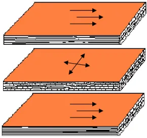 Figura 2 -  Orientação aleatória  das partículas da camada interna. 