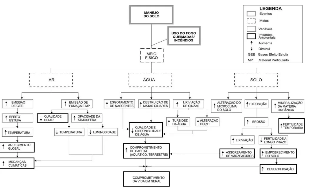 Figura 3 – Rede de Interação: identificação dos impactos ambientais no meio físico decorrentes do uso do fogo no manejo do solo 