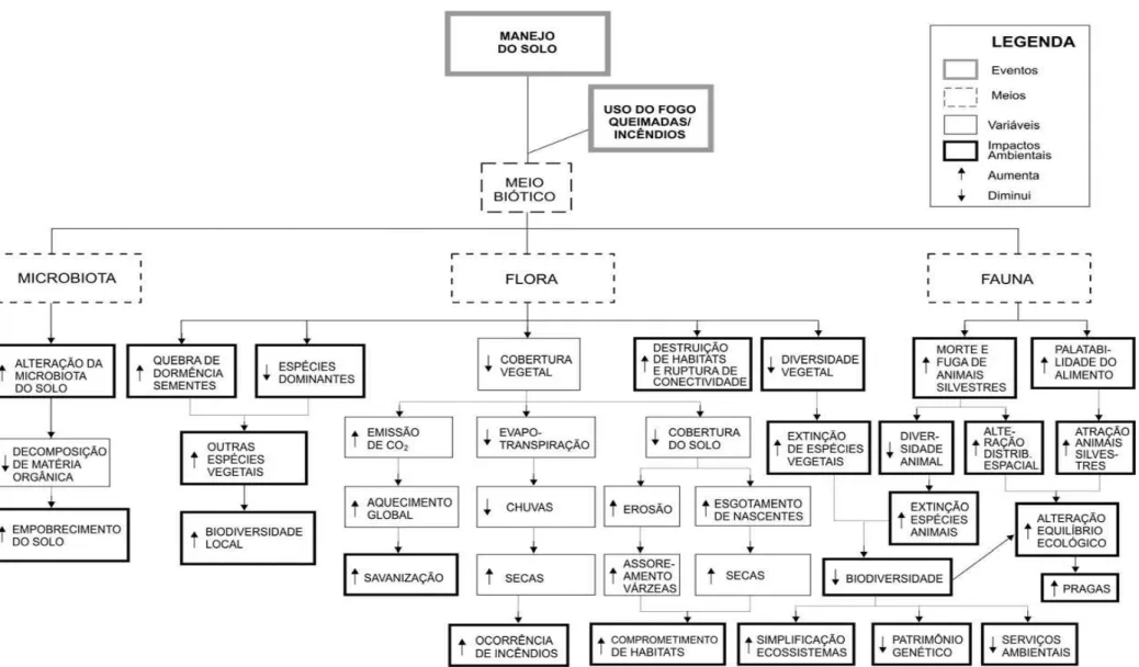 Figura 4 – Rede de Interação: identificação dos impactos ambientais no meio biótico decorrentes do uso do fogo no manejo do solo 