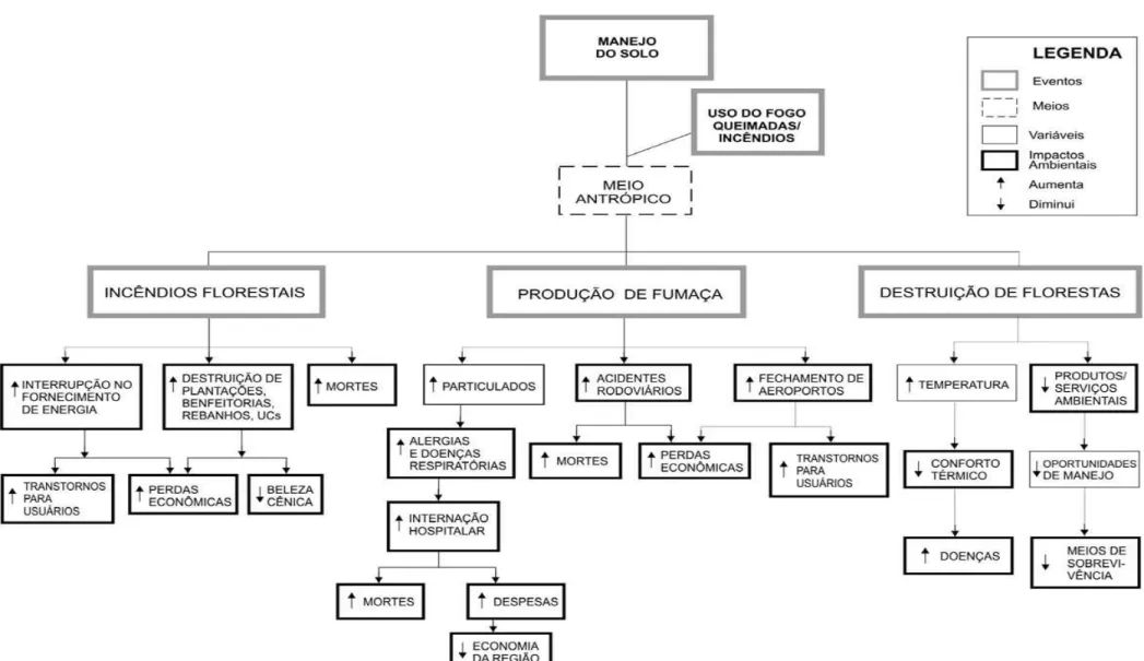 Figura 5 – Rede de Interação: identificação dos impactos ambientais no meio antrópico decorrentes do uso do fogo no manejo do solo  