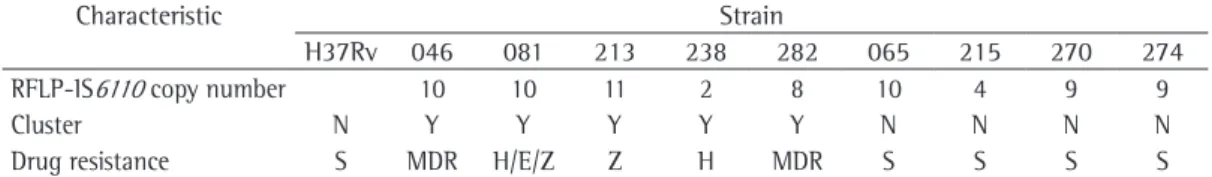 Table  2  shows  the  IFN-γ  production  after  stimulation with the various strains. As expected,  most of the TST+ volunteers produced IFN-γ in  response to stimulation with the strains tested