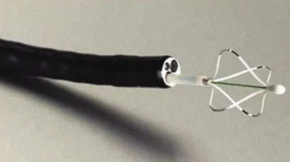 Figure 2 - Radiofrequency energy generator.
