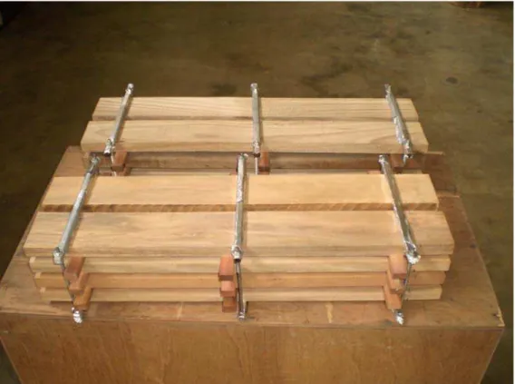 FIGURA 4  - Entabicamento e sistema para fixação das madeiras a    serem termorretificadas na estufa