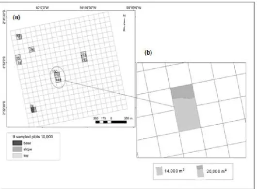 Fig. 2 Location of sampling units of different sizes: (a) nine plots of 10,000 m 2 ; (b) one plot  of 14,000 m 2  and one plot of 20,000 m 2