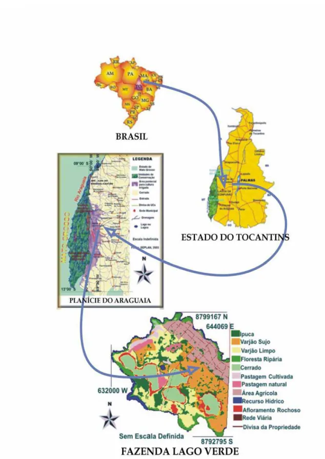 Figura  8 – Mapa do Brasil, com destaque para o estado do Tocantins e a área de estudo