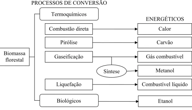 Figura 1.  Conversão energética da biomassa florestal. 