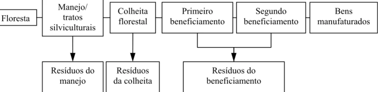 Figura 3.  Cadeia produtiva da biomassa florestal. 