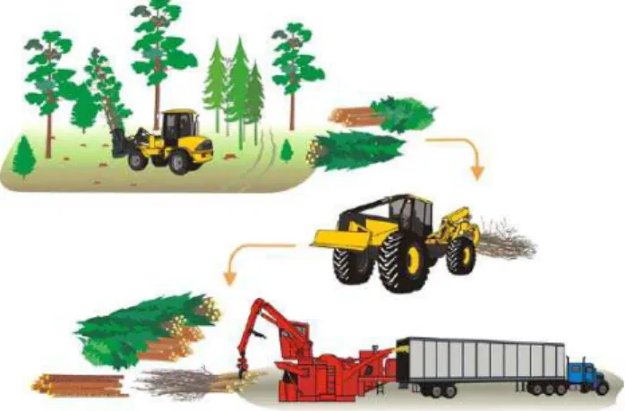 Figura 12.  Sistema de árvores inteiras com cavaqueamento de biomassa residual.  