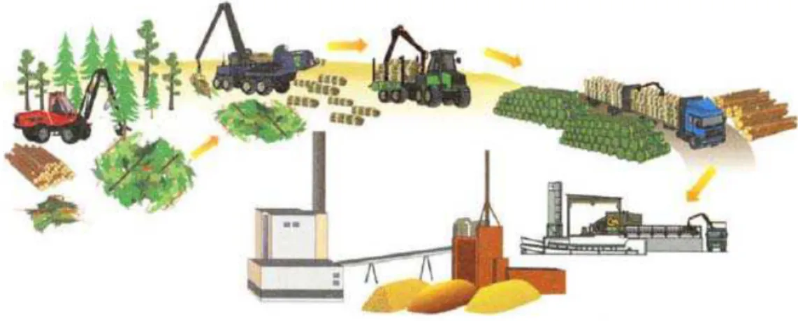 Figura 14.  Sistema de enfardamento de resíduos florestais. 