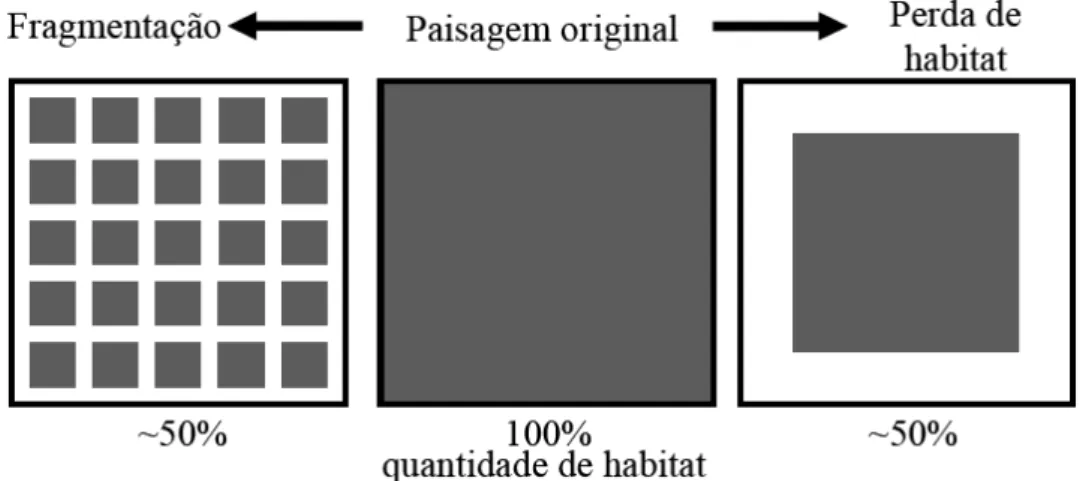 FIGURA 1: Processos de fragmentação e perda de habitat de ambientes naturais. Fonte:  Boscolo (2007)