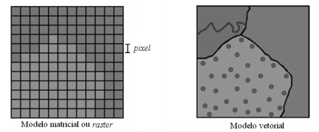 FIGURA 6: Representação esquemática de análise temporal de uma imagem raster. 
