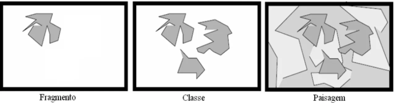 FIGURA 8: Níveis de geração das métricas no software Fragstats: fragmento, classe  (conjunto de mesmo tipo de fragmento) e paisagem (conjunto de classes)