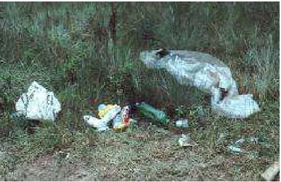 Figura 1 – Acúmulo de lixo em trilha – Lavras Novas, Ouro Preto, Minas Gerais. 