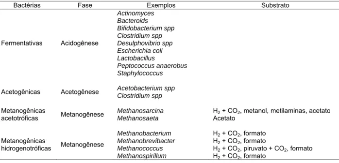 Tabela 2.1. Exemplos de grupos bacterianos envolvidos na digestão anaeróbia, segundo diferentes  autores (TCHOBANOGLOUS e BURTON, 1991; LEE, 1993; CHERNICHARO, 1997;  MADIGAN et al., 2004) 