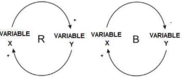 Figure 2  –   “Influence diagram” flow involved in the “circles of causality”: i) R  =  Reinforcing  loop  (where  the  variable  X  =  increase(+)  the  variable  Y  =  increase  (+)  the  variable  X  and  B  =  Balancing  loop  (where  the  variable  X 