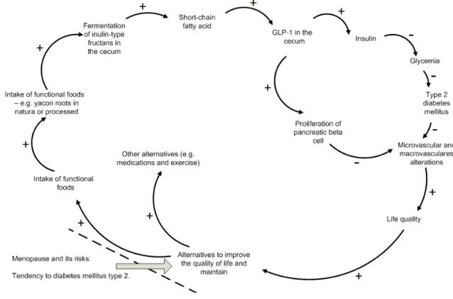 Figure  3.  Influence  diagram  representing  an  increase  in  quality  of  life  from  ingesting FOS/inulin from yacon root or processed reducing the risk of type 2  diabetes  in  menopause