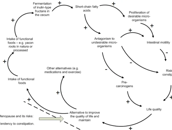 Figure  7  Influence  diagram  for  increased  quality  of  life  by  increasing  the  intake  of  FOS/inulin  from  yacon  roots  or  processed  and  its  effects  on  the  reduction of risk of constipation in menopause