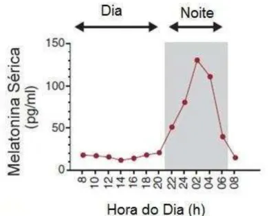 Figura  3  Produção  de  melatonina  durante  o  período  diurno  e  noturno  em  seres  humanos (adaptado de Dominguez-Rodriguez, 2012)
